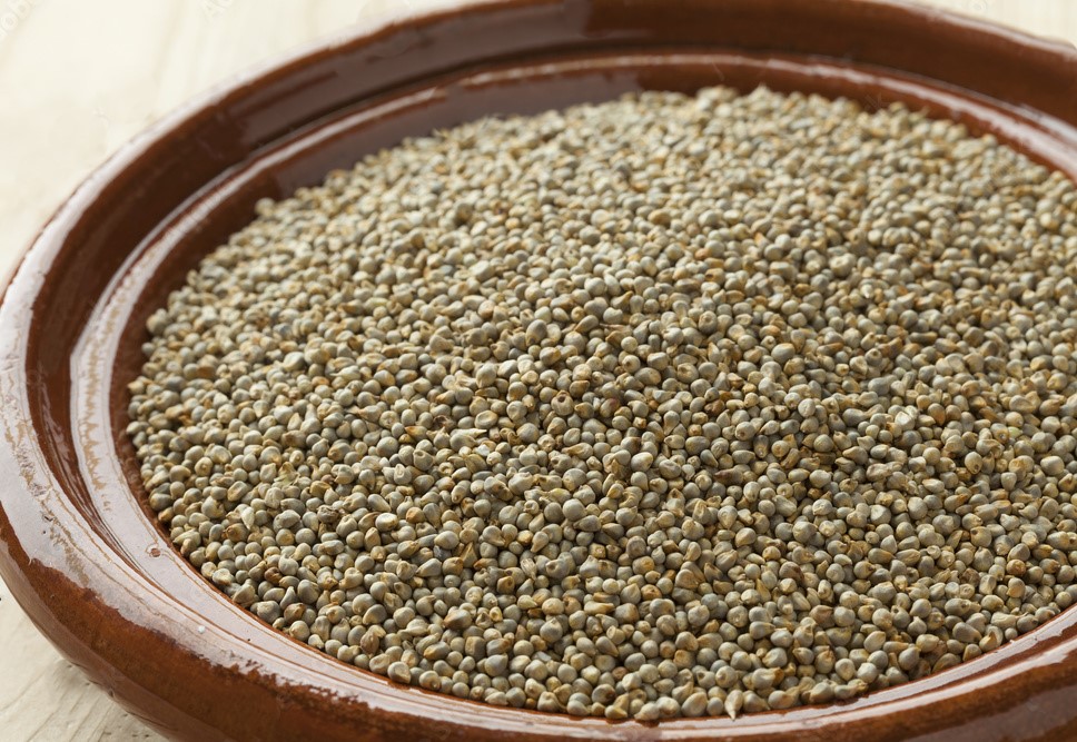 Bajra (Pearl Millet)