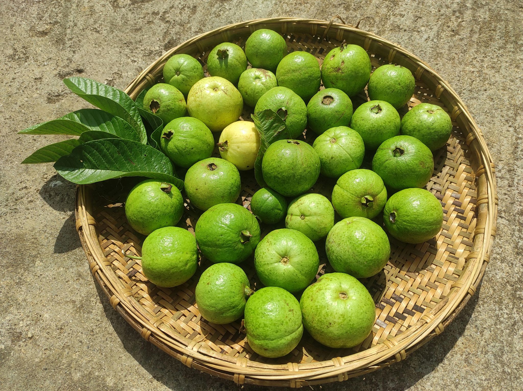 Guava in basket