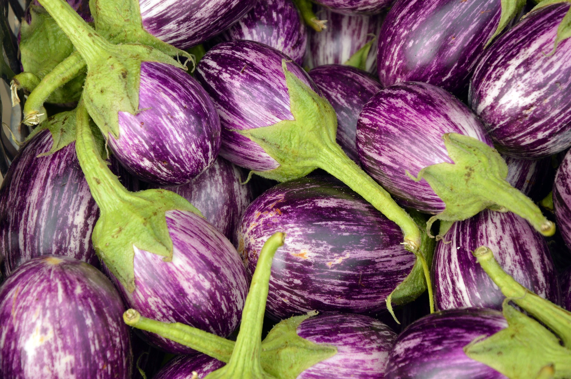 Brinjal (eggplant)